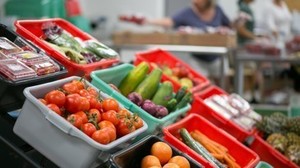Food and Financial Assistance