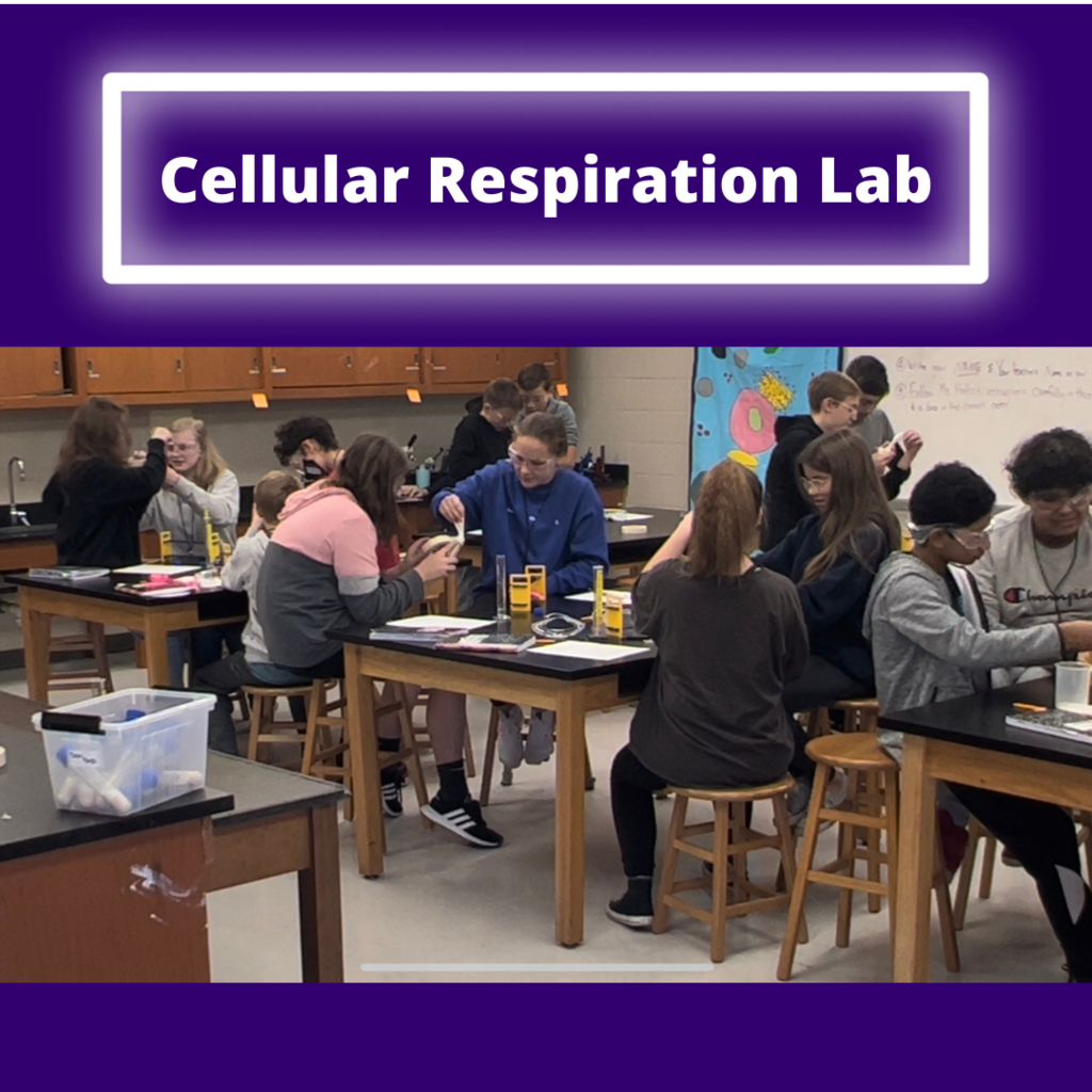 The students are doing a great job in the lab and making some great inquiries about Cellular Respiration! 