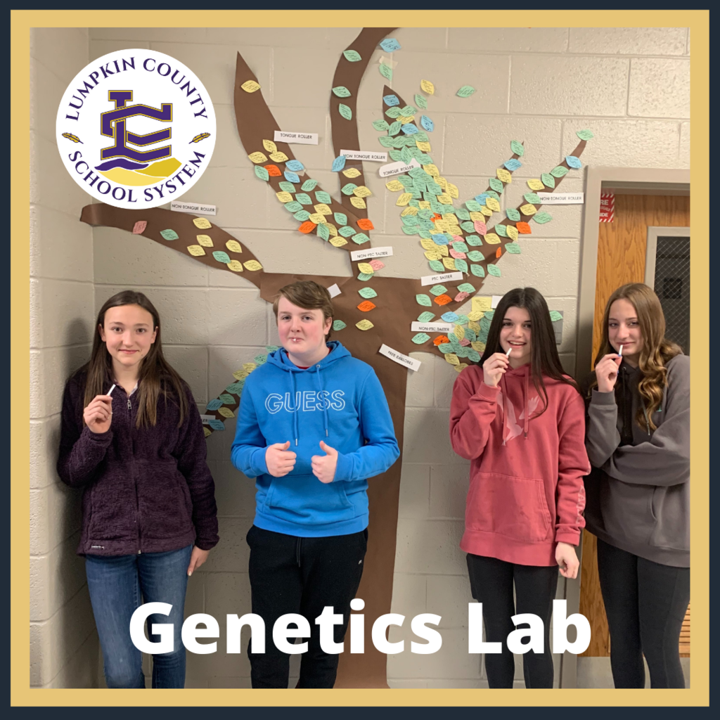 We are starting our new unit on Genetics. On Friday we created a genetic tree for all 7th grade science students and we tracked who has attached or detached earlobes, who could curl their tongue, and lastly who could taste the bitter PCT paper. The students smiling could not taste it, the ones wincing could.